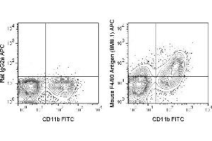 C57Bl/6 bone marrow cells were stained with FITC Anti-Mouse CD11b (ABIN6961256) and 0. (F4/80 anticorps  (APC))