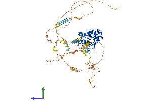 AlphaFold protein structure predicition of Mouse Recombinant Cdc25b Protein, UniprotID P30306