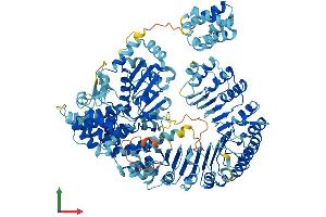 AlphaFold protein structure predicition of Human Recombinant NLRC4 Protein, UniprotID Q9NPP4