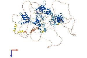 AlphaFold protein structure predicition of Human Recombinant SUPT5H Protein, UniprotID O00267