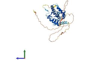AlphaFold protein structure predicition of Human Recombinant SNAPC1 Protein, UniprotID Q16533