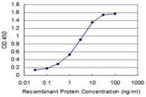 Detection limit for recombinant GST tagged BOLL is approximately 0. (BOLL anticorps  (AA 185-283))