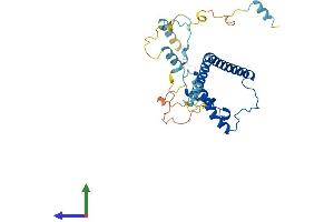 AlphaFold protein structure predicition of Human Recombinant EBNA1BP2 Protein, UniprotID Q99848