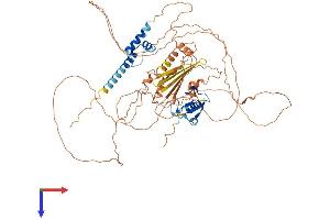 AlphaFold protein structure predicition of Mouse Recombinant Rnf6 Protein, UniprotID Q9DBU5