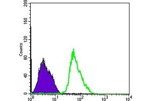 Flow cytometric analysis of PC-2 cells using PRKAA1 mouse mAb (green) and negative control (purple). (PRKAA1 anticorps)