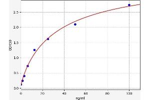Transferrin Receptor 2 (TFR2) ELISA Kit