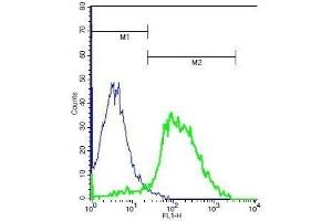Mouse thymocytes probed with Rabbit Anti-TSHR Polyclonal Antibody, Unconjugated .