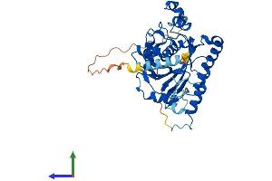 AlphaFold protein structure predicition of Human Recombinant B3GNT6 Protein, UniprotID Q6ZMB0