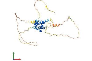 AlphaFold protein structure predicition of Human Recombinant SHOX Protein, UniprotID O15266