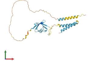 AlphaFold protein structure predicition of Human Recombinant TMUB1 Protein, UniprotID Q9BVT8