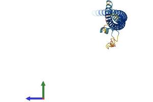 AlphaFold protein structure predicition of Human Recombinant SNAP25 Protein, UniprotID P60880
