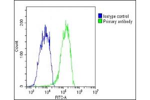 Overlay histogram showing HepG2 cells stained with (ABIN6244209 and ABIN6578833)(green line).
