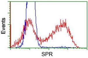 Image no. 10 for anti-Sepiapterin Reductase (SPR) antibody (ABIN1501111)