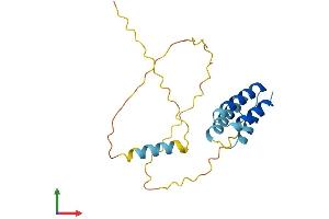 AlphaFold protein structure predicition of Human Recombinant CT45A2 Protein, UniprotID Q5DJT8