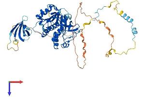AlphaFold protein structure predicition of Mouse Recombinant Edc3 Protein, UniprotID Q8K2D3