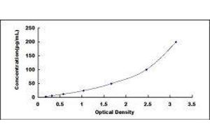 ELISA image for Epidermal Growth Factor (EGF) ELISA Kit (ABIN424243)