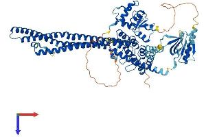 AlphaFold protein structure predicition of Mouse Recombinant Acap1 Protein, UniprotID Q8K2H4
