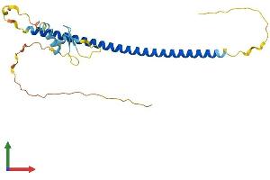 AlphaFold protein structure predicition of Human Recombinant ZBED3 Protein, UniprotID Q96IU2