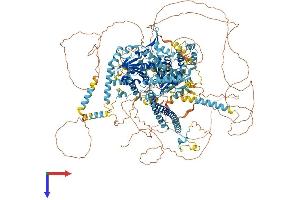 AlphaFold protein structure predicition of Human Recombinant ERCC6 Protein, UniprotID Q03468