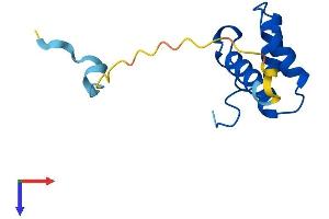 AlphaFold protein structure predicition of Human Recombinant POLD4 Protein, UniprotID Q9HCU8