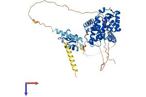 AlphaFold protein structure predicition of Human Recombinant RORC Protein, UniprotID P51449
