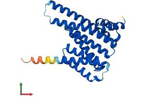 AlphaFold protein structure predicition of Mouse Recombinant Ywhaq Protein, UniprotID P68254