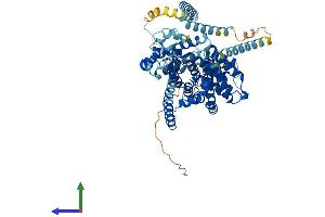AlphaFold protein structure predicition of Mouse Recombinant Slc28a2 Protein, UniprotID O88627