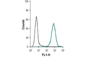 Cell surface detection of EphB1 in live intact human THP-1 monocytic leukemia cell line: (black line) Cells + goat anti-rabbit-AlexaFluor-488 secondary antibody. (EPH Receptor B1 anticorps  (Extracellular, N-Term))