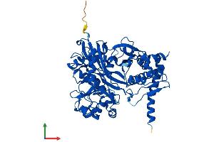 AlphaFold protein structure predicition of Human Recombinant FGGY Protein, UniprotID Q96C11