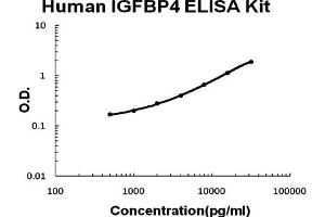 Human IGFBP4 Accusignal ELISA Kit Human IGFBP4 AccuSignal ELISA Kit standard curve. (IGFBP4 Kit ELISA)