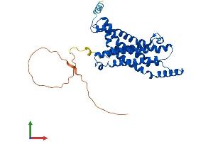 AlphaFold protein structure predicition of Mouse Recombinant Steap1 Protein, UniprotID Q9CWR7
