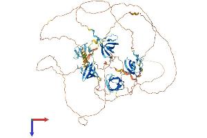 AlphaFold protein structure predicition of Mouse Recombinant Sh3d19 Protein, UniprotID Q91X43