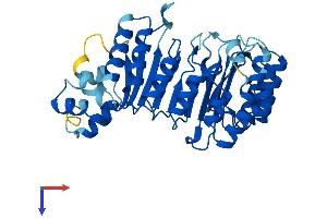AlphaFold protein structure predicition of Mouse Recombinant Fbxl8 Protein, UniprotID Q8CIG9