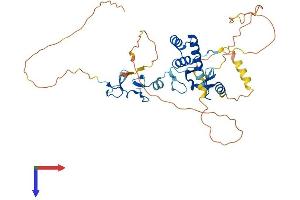 AlphaFold protein structure predicition of Human Recombinant LHX2 Protein, UniprotID P50458