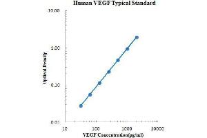 ELISA image for Vascular Endothelial Growth Factor (VEGF) ELISA Kit (ABIN2472089) (VEGF Kit ELISA)