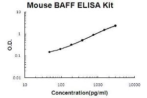 Mouse BAFF PicoKine ELISA Kit standard curve (BAFF Kit ELISA)