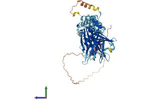 AlphaFold protein structure predicition of Human Recombinant FBXO15 Protein, UniprotID Q8NCQ5