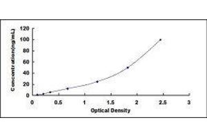 Osteoglycin (OGN) ELISA Kit