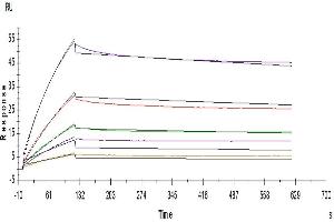 Human LILRB2, hFc Tag captured on Protein A chip, can bind Human ANGPTL2, His Tag with an affinity constant of 0.