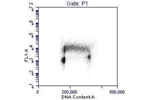 Flow Cytometry (FACS) image for anti-Proliferating Cell Nuclear Antigen (PCNA) (AA 75-125) antibody (ABIN7454604) (PCNA anticorps  (AA 75-125))
