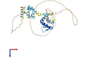 AlphaFold protein structure predicition of Human Recombinant ELF3 Protein, UniprotID P78545