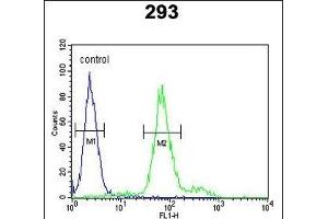 KLF16 Antibody (Center) (ABIN652801 and ABIN2842524) flow cytometric analysis of 293 cells (right histogram) compared to a negative control cell (left histogram). (KLF16 anticorps  (AA 150-179))