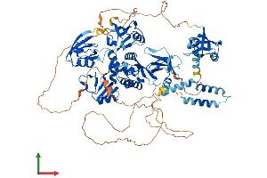 AlphaFold protein structure predicition of Human Recombinant DLG1 Protein, UniprotID Q12959