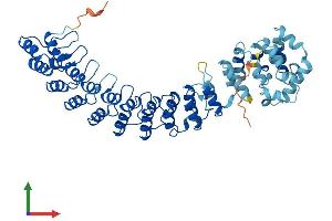 AlphaFold protein structure predicition of Mouse Recombinant Asb3 Protein, UniprotID Q9WV72