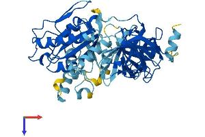 AlphaFold protein structure predicition of Mouse Recombinant Eef1a2 Protein, UniprotID P62631