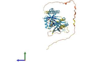 AlphaFold protein structure predicition of Human Recombinant PTOV1 Protein, UniprotID Q86YD1
