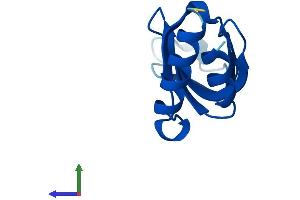 AlphaFold protein structure predicition of Mouse Recombinant Lsm2 Protein, UniprotID O35900