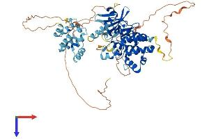 AlphaFold protein structure predicition of Mouse Recombinant Irak3 Protein, UniprotID Q8K4B2