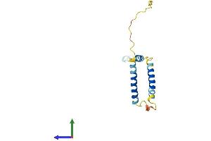 AlphaFold protein structure predicition of Human Recombinant EEF1DP3 Protein, UniprotID Q658K8