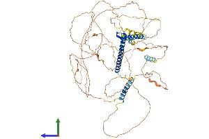 AlphaFold protein structure predicition of Human Recombinant TCF4 Protein, UniprotID P15884